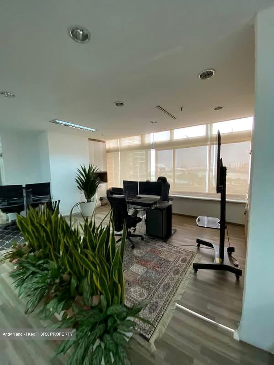 The Plaza (D7), Office #552416481